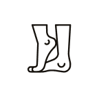 Ikona